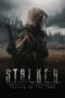 Nontton S.T.A.L.K.E.R. Shadow of the Zone (2024)